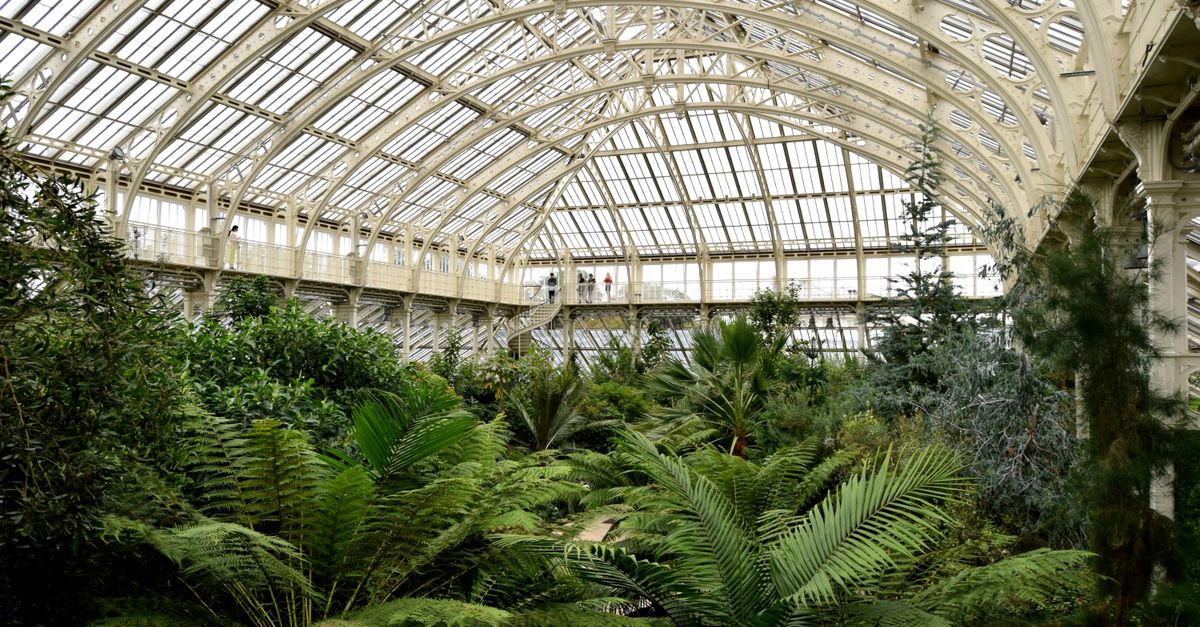 Explore the lush interior of London’s iconic Kew Gardens greenhouse with vibrant foliage and architectural design.